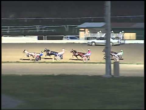 Trotto 15/03/2015 -  corsa pony