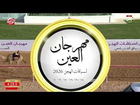 ملخص السباق , ختامي العين 2026/10/04 حقايق الروضة