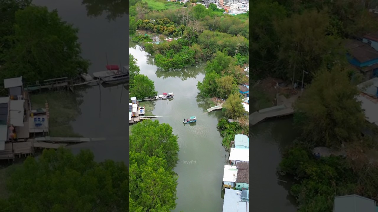 YouTube Short thumbnail