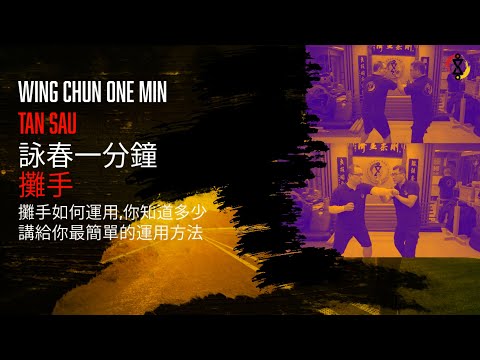 Wing Chun one minutes - Tan Sau
