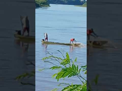 AMIGOS DO ÁUDIO:TIÃO SALES. MANGA MG