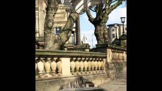 Richard Hawley ladys bridge