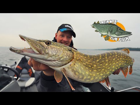 Hechtangeln im Herbst - Tipps und Tricks für das Angeln im Herbst