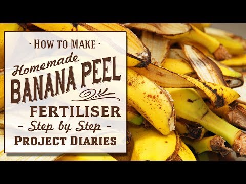 ★ How to Make Banana Peel Fertiliser  (A Complete Step by Step Guide)