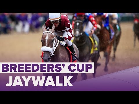 JAYWALK wins Juvenile Fillies | Breeders' Cup 2018