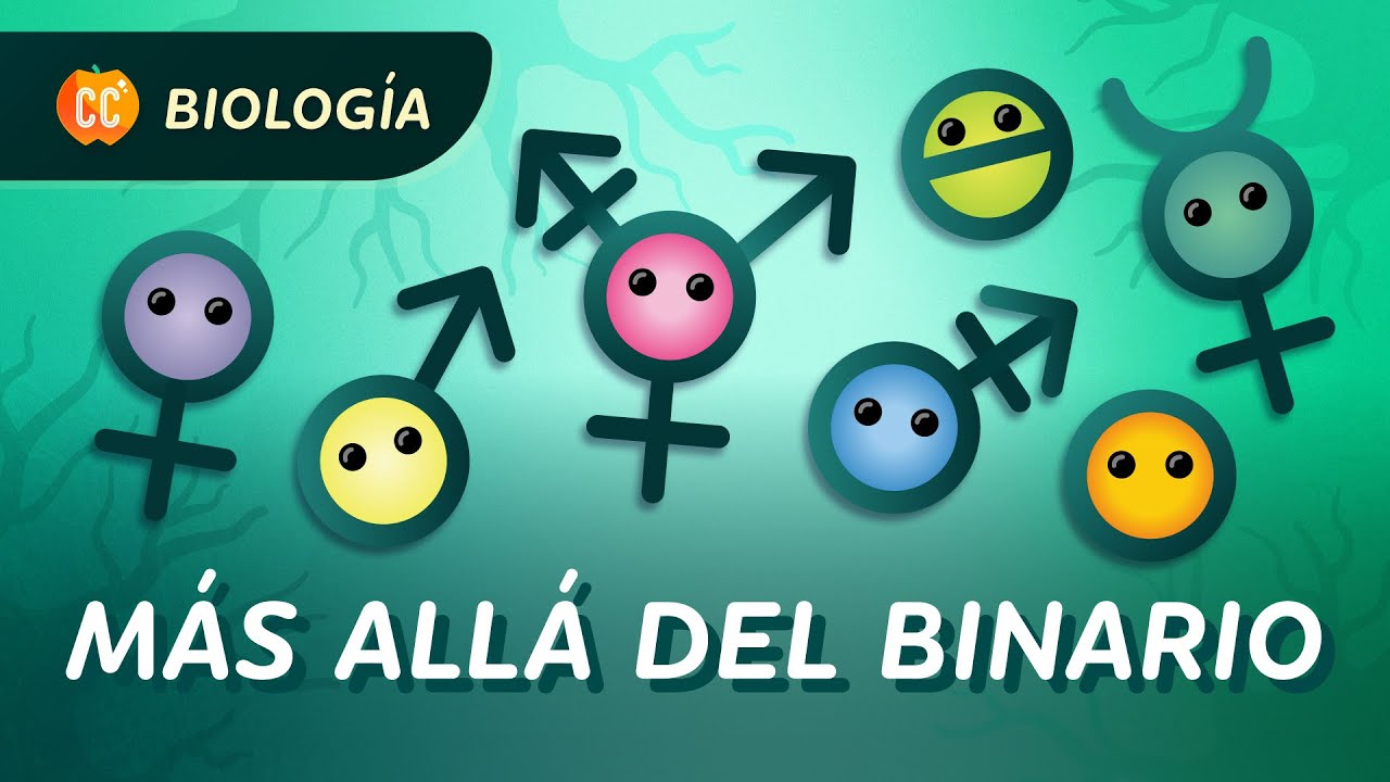 Género, sexo y sexualidad: ¿cuál es la diferencia?: Crash Course Biología #48