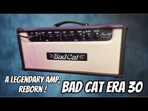 Bad Cat Era 30 Mark Sampson 2-Channel 30-Watt Guitar Amp Head - Gray image 6