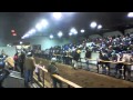 2011 TWH After Christmas Sale Tattersalls.