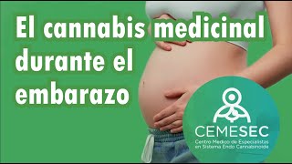 EL CANNABIS MEDICINAL DURANTE EL EMBARAZO