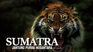 Download lagu Threatened Megafauna Treasures of Indonesia - Sumatra Island mp3