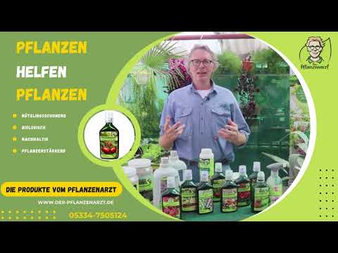 Natürlicher Pflanzenschutz 🐞🐝🍀