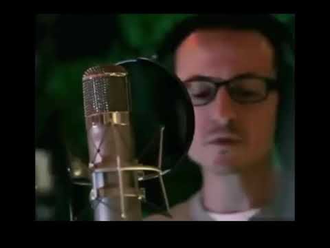 Chester and Mike(Inside Living Things)