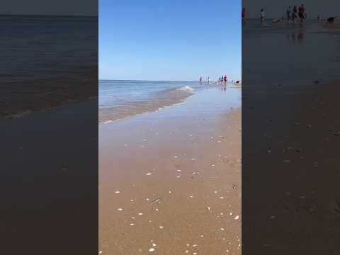 In an infinite Ocean of Love ❤️ Listen to the sounds of wave cool your mind and body. Just relax ☺️