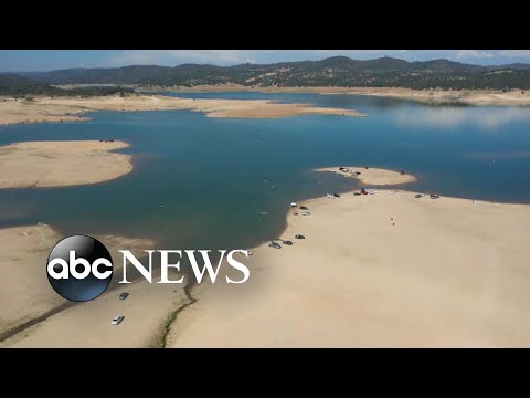 New UN climate report: ‘Delay means death’