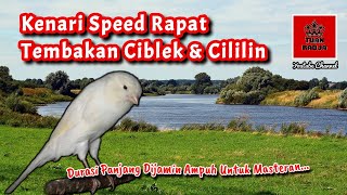 Download lagu Kenari speed rapat tembakan ciblek dan cililin, durasi panjang dijamin ampuh untuk masteran mp3 Download lagu Kenari speed rapat tembakan ciblek dan cililin, durasi panjang dijamin ampuh untuk masteran mp3