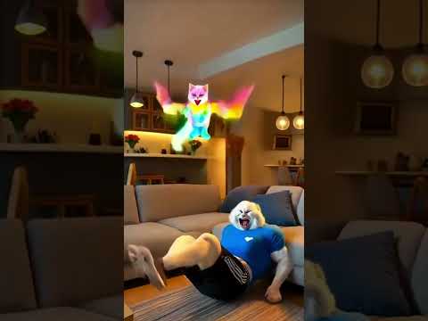 "Dramatic Cats That Deserve an Oscar!"