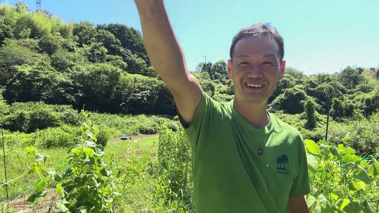【自然栽培の基本】野菜の個性を活かす「光・水」の条件と、強い根を育てる土づくりの知恵