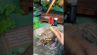 Download lagu CUMA DI GESEK LANGSUNG KELUAR SUARA ASLI??#shorts mp3