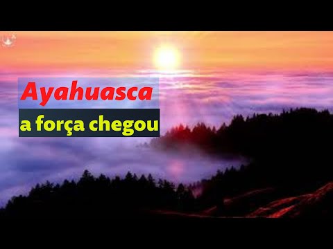 Ayahuasca. A FORÇA chegou. CANÇÃO para #AYAHUASCA
