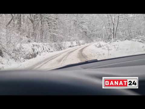 DJ681 ( Criciova - Nadrag ) - 10 Ianuarie 2026