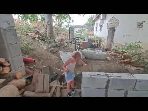 Postavme společně útulek pro kočky a psy