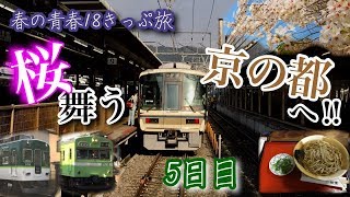 【春の青春18きっぷ旅5日目】 桜舞う京の都へ‼︎