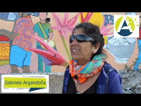 Salvemos La San Mateo, Valparaíso, Chile thumbnail