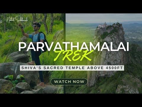 Thumbnail for SOUTH INDIA