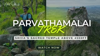 SOUTH INDIA'S MOST SACRED TREK - PARVATHAMALAI HILLS - CINEMATIC VLOG