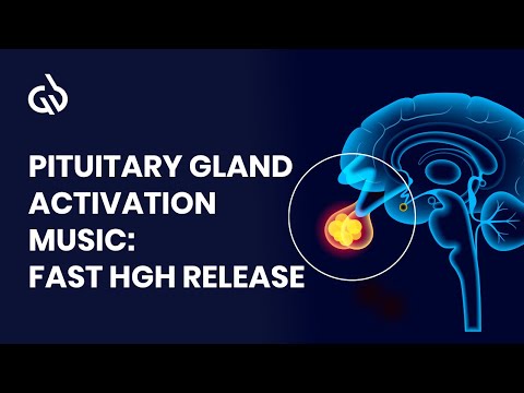 Pituitary Stimulation to Release Human Growth Hormone, Pure 1Hz Delta Binaural beats | 8 Hours