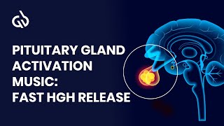 Pituitary Stimulation to Release Human Growth Hormone, Pure 1Hz Delta Binaural beats | 8 Hours