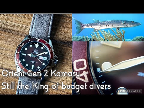 Orient Gen 2 Kamasu LE Review - king of budget diver