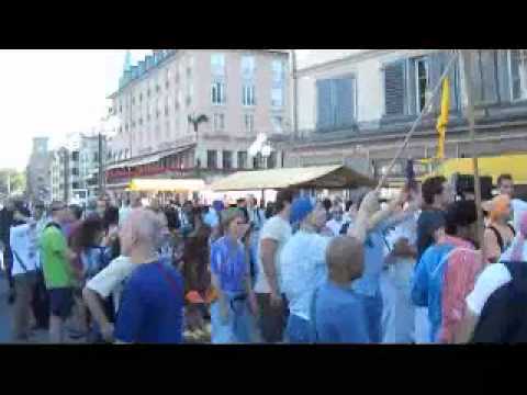 Ratha yatra 2011 Zürich(2)