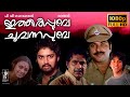 Ithiri Poove Chuvannapoove Full HD Malayalam Movie Mammootty Shobhana Madhu Rahman Bharathan