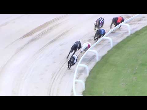 2017 STAR SPORTS DERBY - ROUND 2 - HEAT 11 - T3 PACEY BAMBI