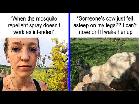 Hilarious Pics Of Humans And Animals Coming To Terms With Unexpected Situations