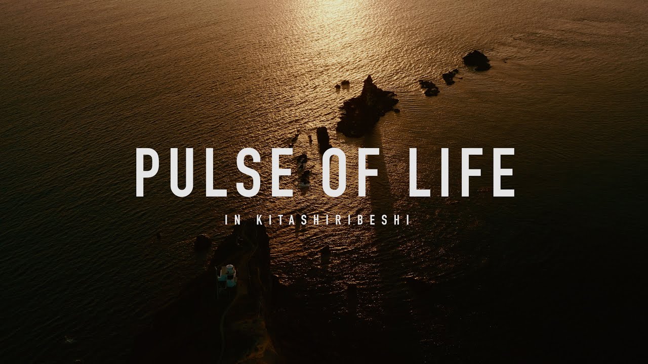 PULSE OF LIFE