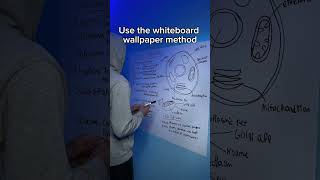 The perfect study hack📚✨️#studying #studentlife #productivity #whitebo