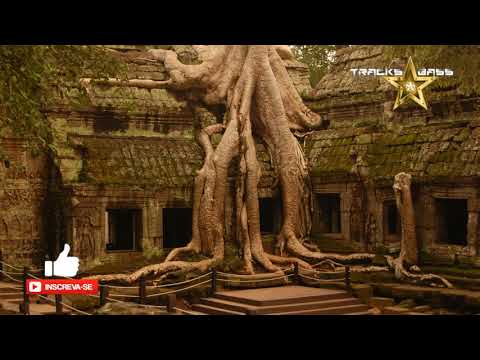 Hotweiller'S, Zend - God King 🔔 #TracksBass ✔