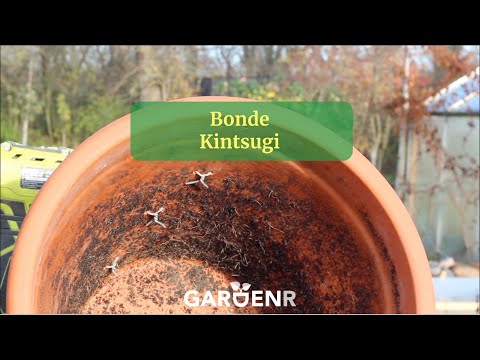 Bonde Kintsugi - Trädgårdshacks med GardenR