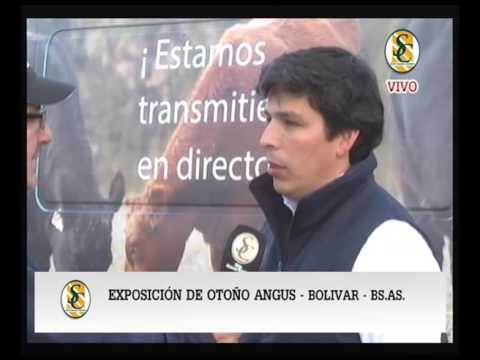 20-05-16 NOTA ALEJANDRO ROMERO - CABAÑA INAMBÙ - EXPO BOLIVAR - BOLIVAR.