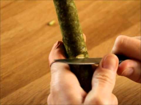 Runenschnitzerei der Germanen