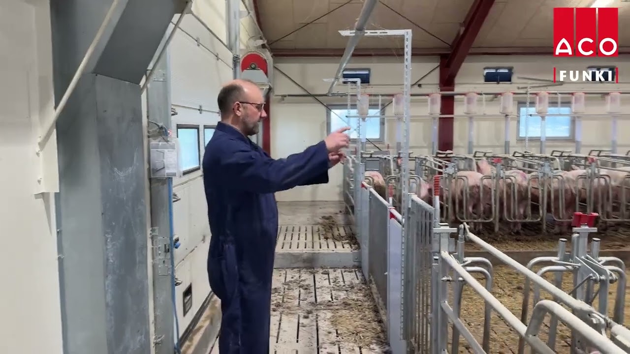 Scraping system for straw removal from the manure channels