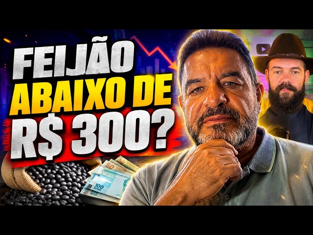 Feijão abaixo de R$ 300? 4 Motivos para ficar atento ao mercado
