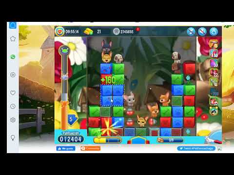 Pet Rescue level 5203, pet rescue, nivel 5203 pet rescue solucionado, solved, sin booster 5203, 5203