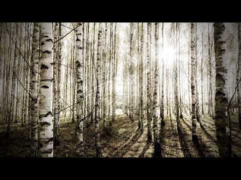 Staniša Stošić - Kaži Suto, kaži dušo.