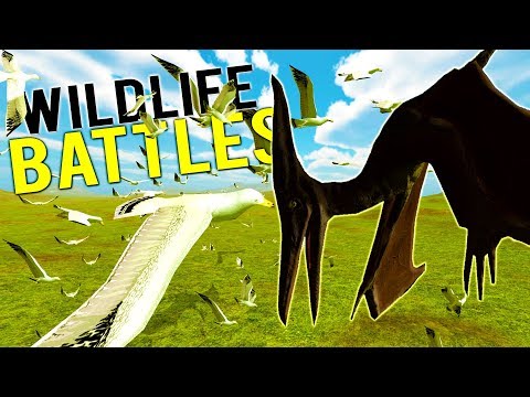 COULD A FLOCK OF SEAGULLS DEFEAT A PTERODACTYL? WILDLIFE BATTLES! - Beast Battle Simulator Gameplay
