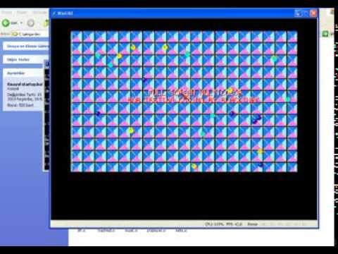 Amiga  Blitter  Test  Programming