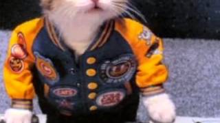 Barnaś & Bartosz S. - Select One