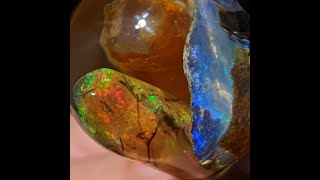 Fire and Ice - Opal Specimen Display #1 - Volcanic Opal Limbcasts